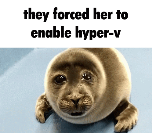 the gif of the incredibly sad seal crying with the caption "they forced her to enable hyper-v"