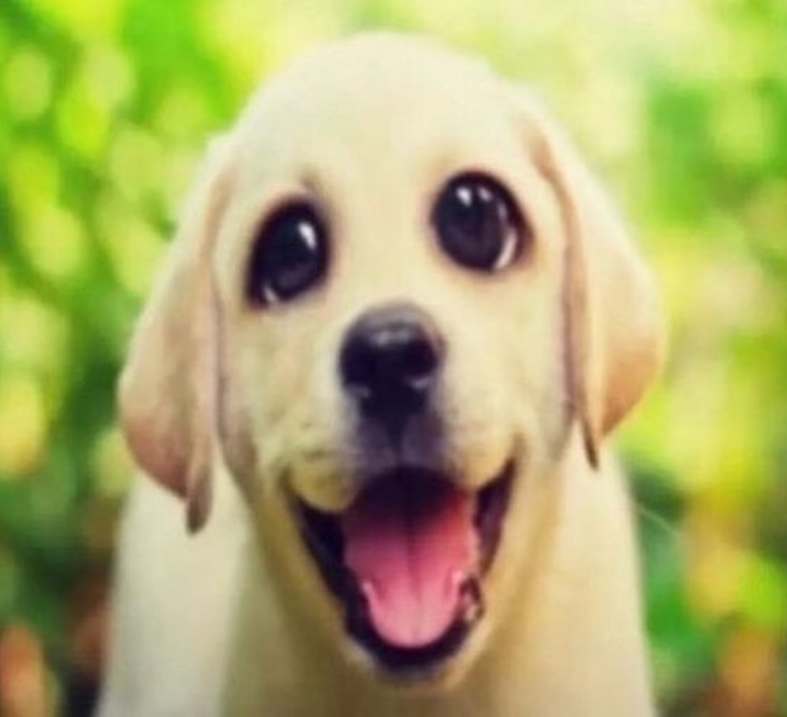 whenmumbringshomethesludge