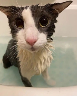 the_soggy_way