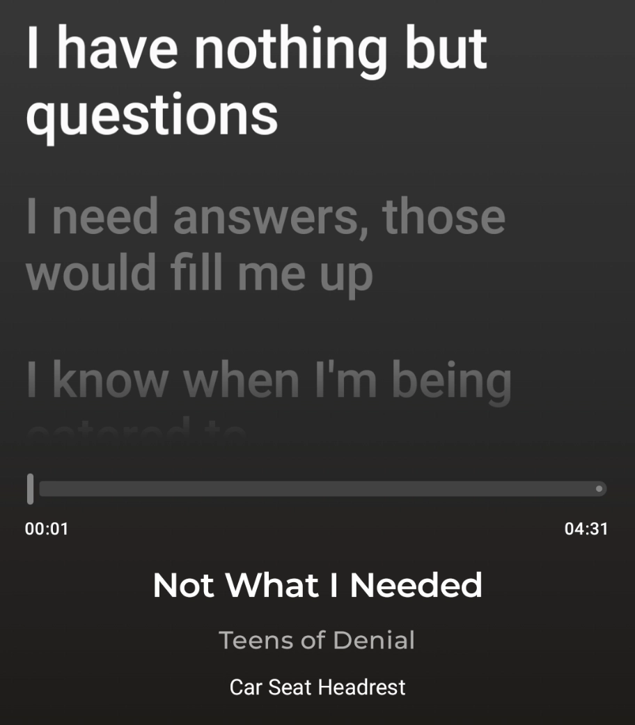 I have nothing but questions from Not What I Needed by Car Seat Headrest on Teens of Denial