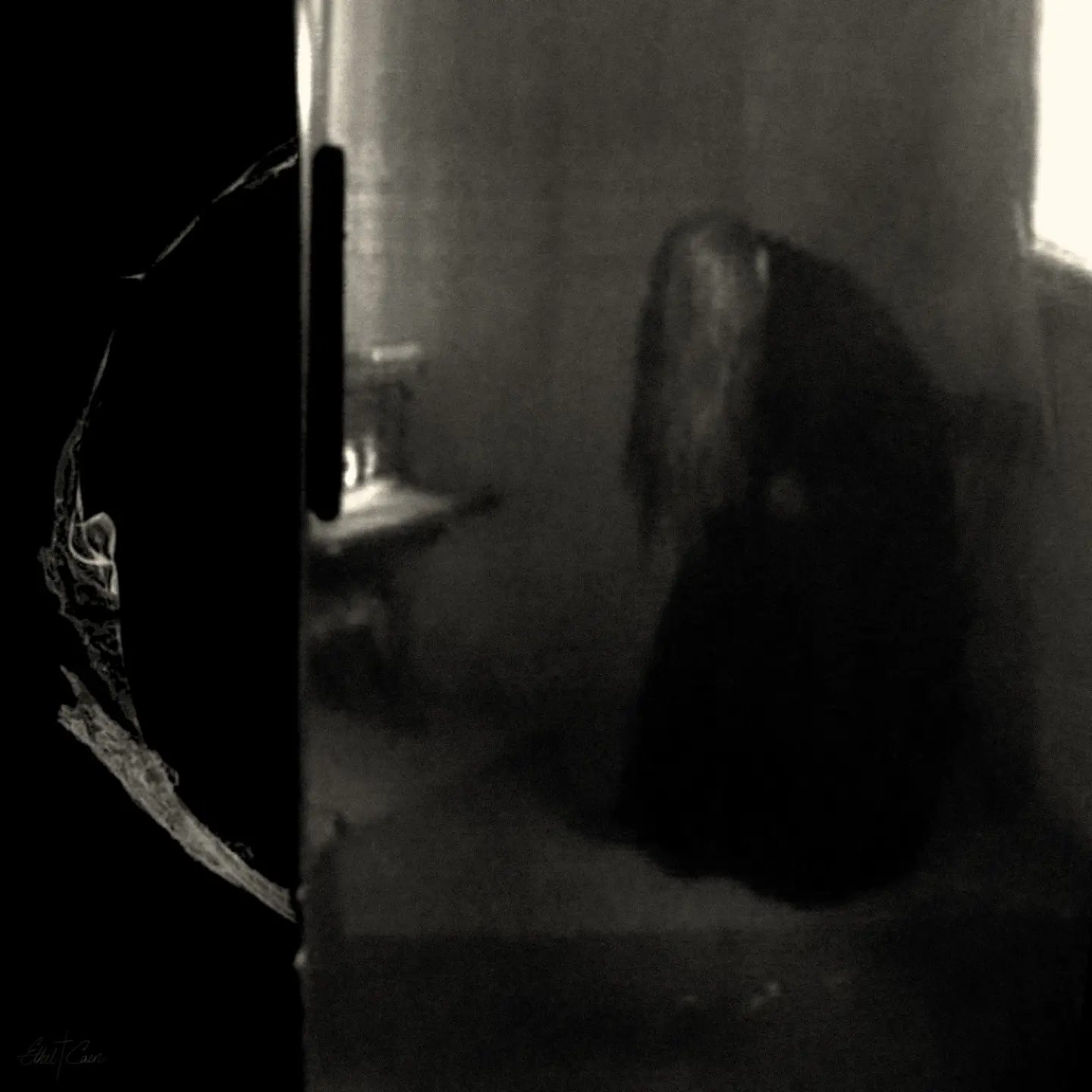 Perverts by Ethel Cain album cover