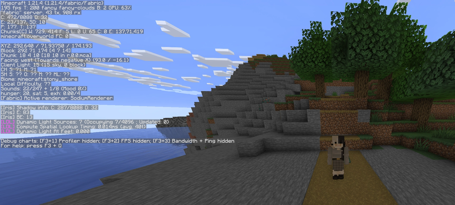 screenshot of minecraft with the f3 menu showing that it's running on a fabric server