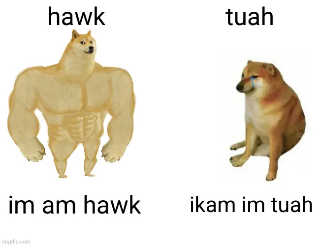 buff doge labelled "hawk" sayin "im am hawk" and the other one labelled "tuah" says "ikam im tuah"