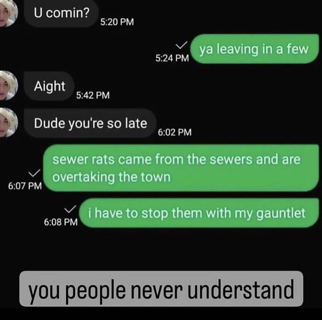 dm conservation screenshot:
friend: U comin?
op: ya leaving in a few
friend: aight
friend: dude you're so late
op: sewer rats came fron the sewers and are overtaking the town
op: i have to stop them with my gauntlet

and a caption put after the screenshot was made sayin "you people never understand"