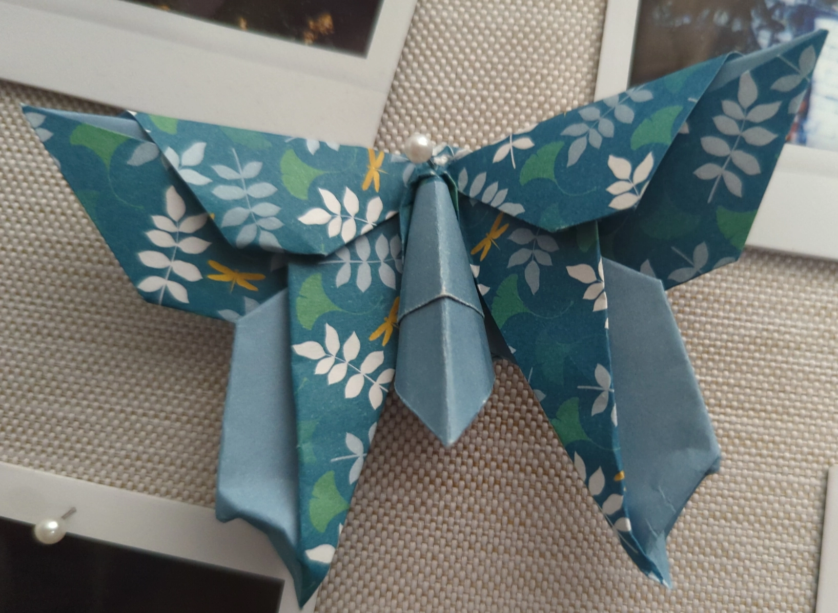 same butterfly as before but with a more slender body