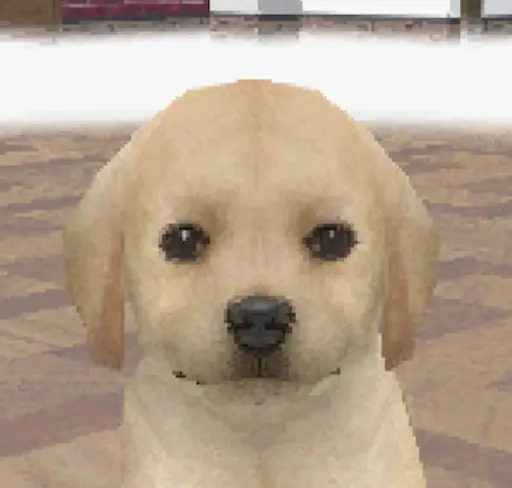 nintendogs Labrador fluoride stare