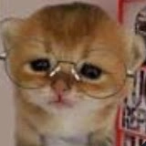 big poo the car with massive glasses