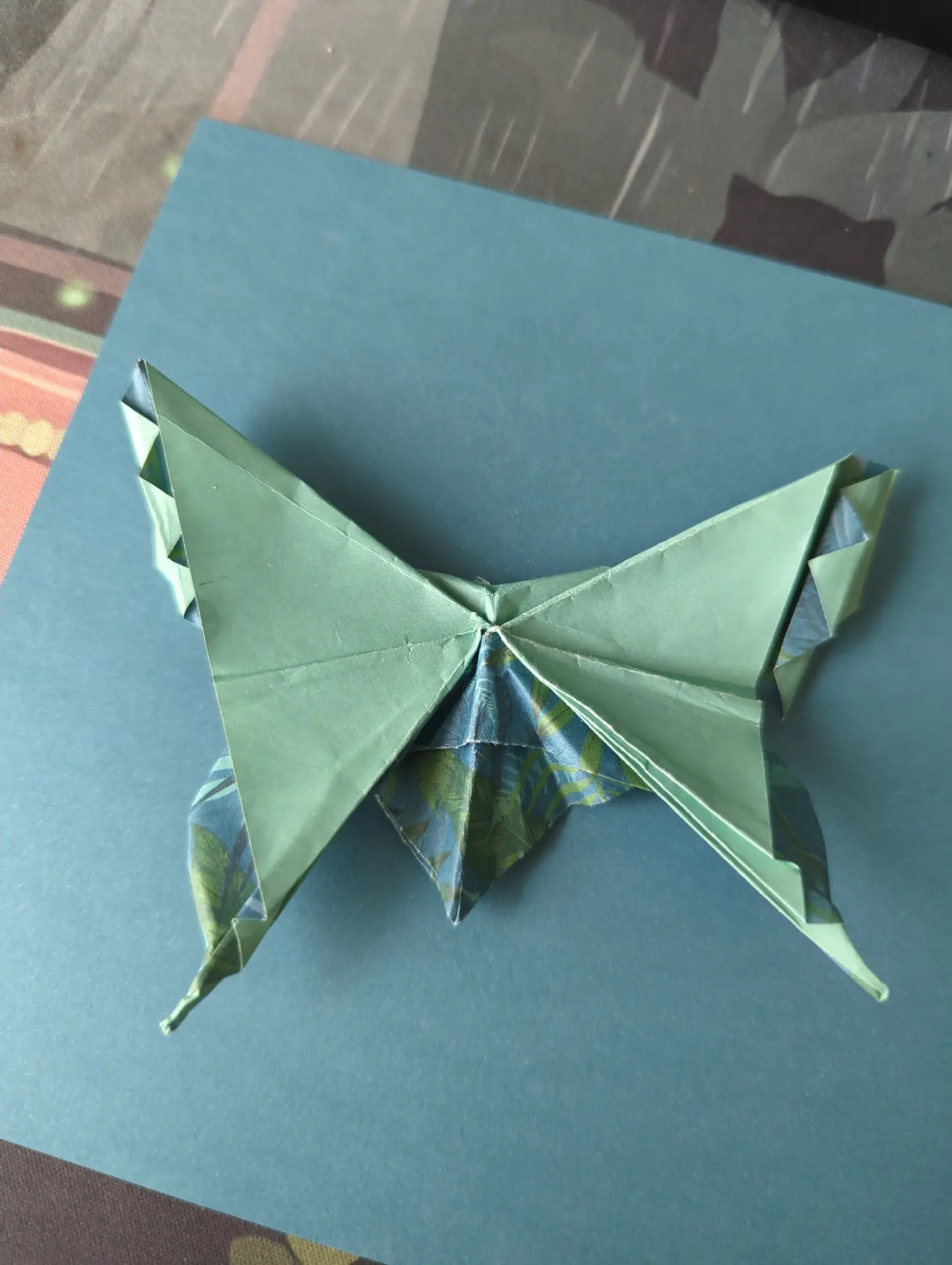 scrappy looking "Alexander Aztec Swallowtail" 