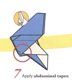 origami butterfly step 7 that says Apply abdominal taper.