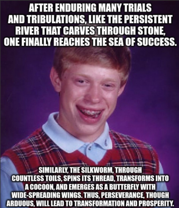 bad luck brian meme that says "After enduring many trials and tribulations, like the persistent river that carves through stone, one finally reaches the sea of success. Similarly, the silkworm, through countless toils, spins its thread, transforms into a cocoon, and emerges as a butterfly with wide-spreading wings. Thus, perseverance, though arduous, will lead to transformation and prosperity."
