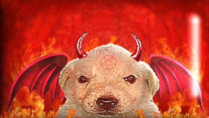 :evil_labrador: